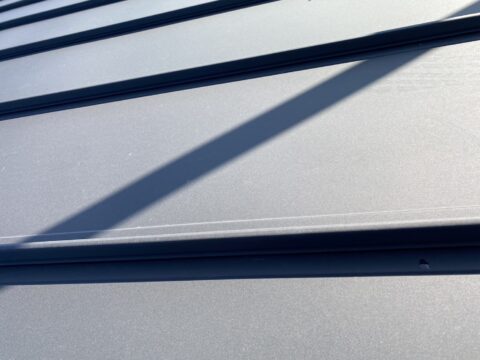 おはようございます！